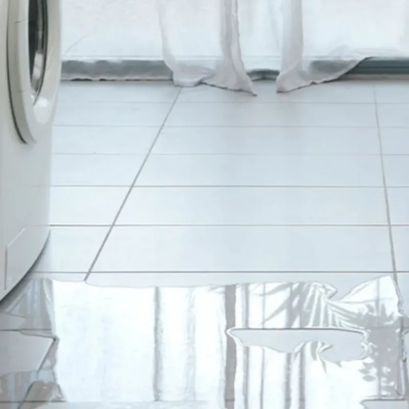 Appliance Leak Cleanup in East Lake, FL
