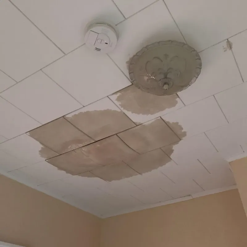 Ceiling Water Damage Repair in East Lake, FL