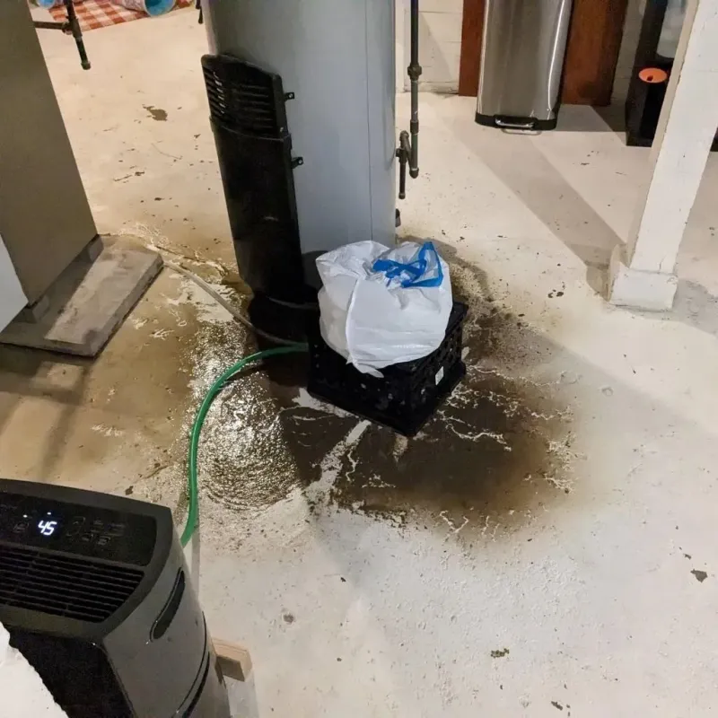 Sewage Backup Cleanup Service in East Lake, FL